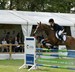 Paardensport