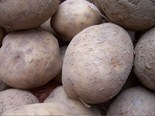 aardappels (flickr)