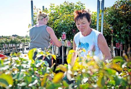 Ondernemende vrouwen