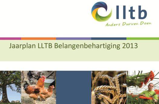 Jaarplan 2013