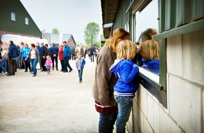 Loeren bij de boeren 2