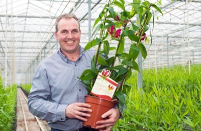 Hoeijmakers Gloriosa KidK 2013