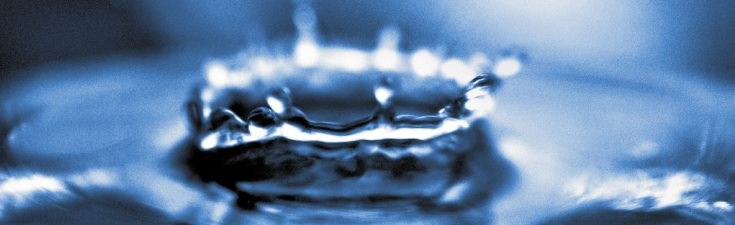 3451755408_1e7701b43d_o