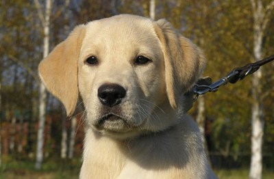 5860028206_d66810105f_z