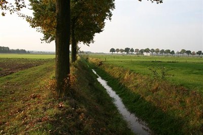 Schelkensbeek