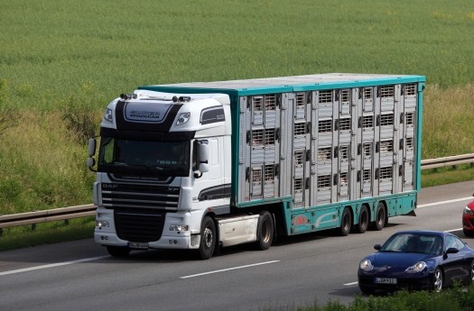 veetransport