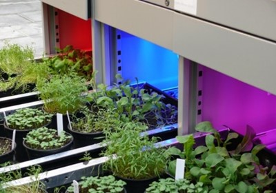 Telen zonder daglicht