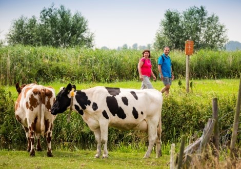 recreanten in agrarisch gebied