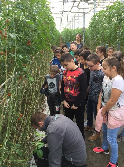 Foto 02-11-17 10 13 35