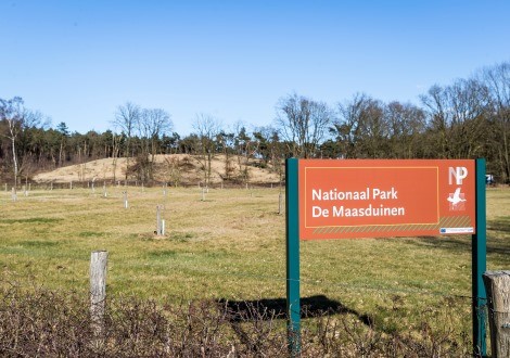 Nationaal park de Maasduinen - rechtenvrij afgenomen Laurens Eggen.JPG