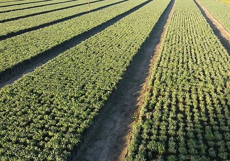 csm_Rotteveel_2_c2bd944368