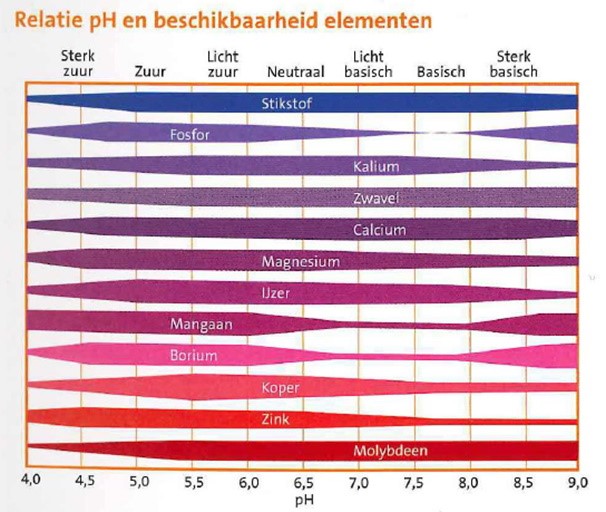 Eiwit gezonde bodem 2