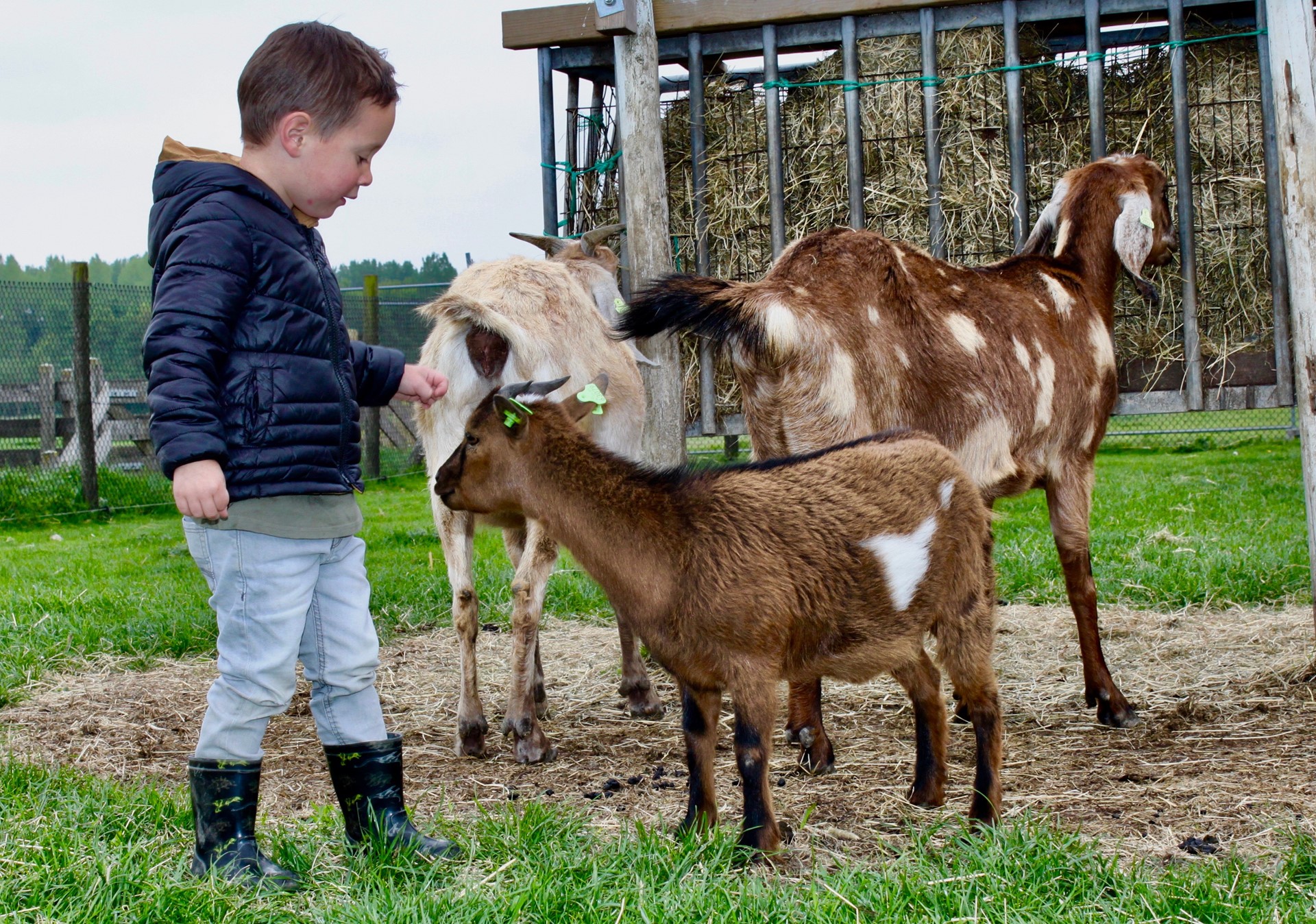 Agrarisch kinderopvang