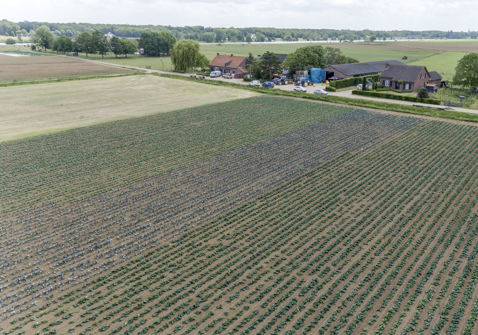 Akkerbouw 17