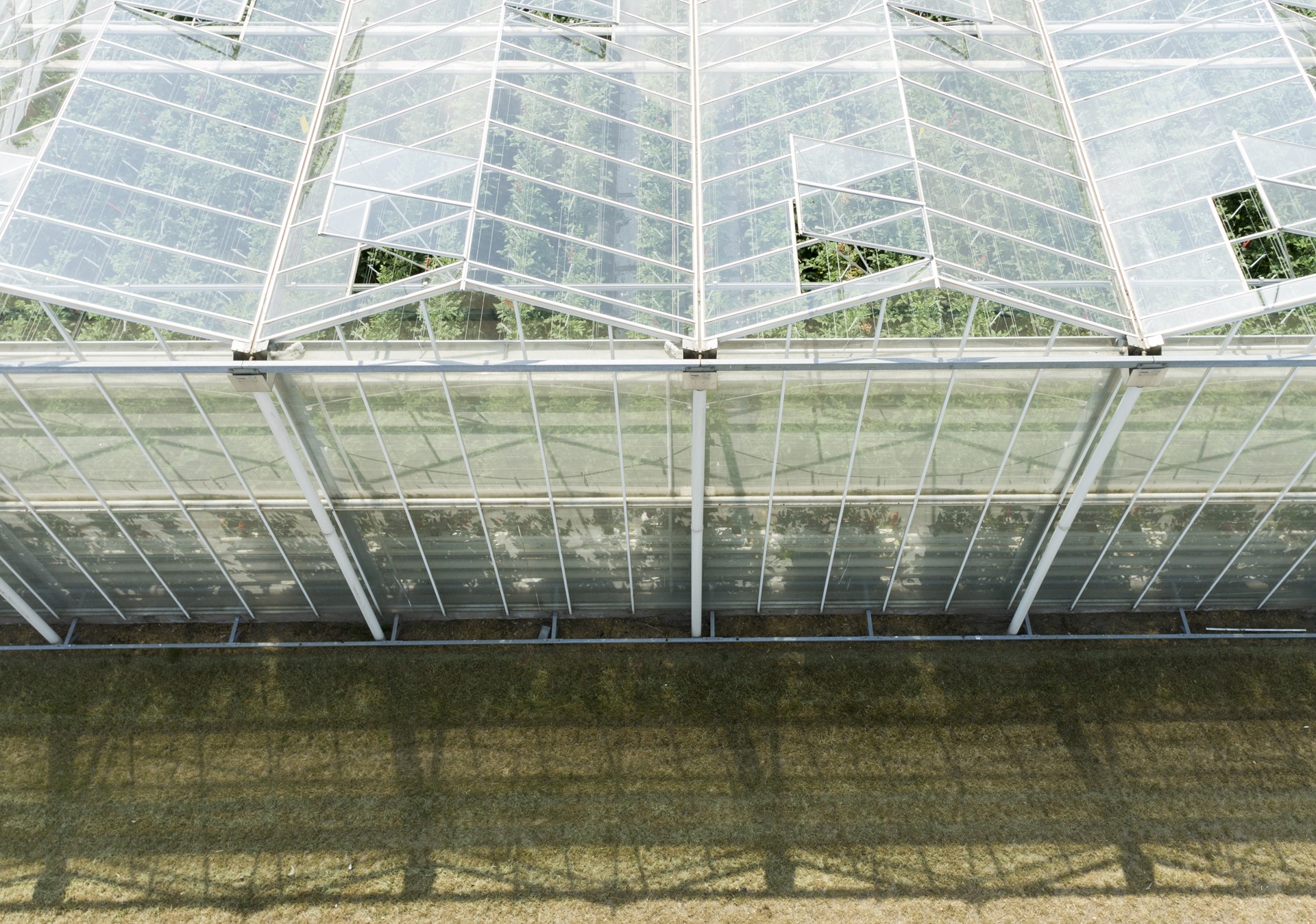 Glastuinbouw tomaten 10