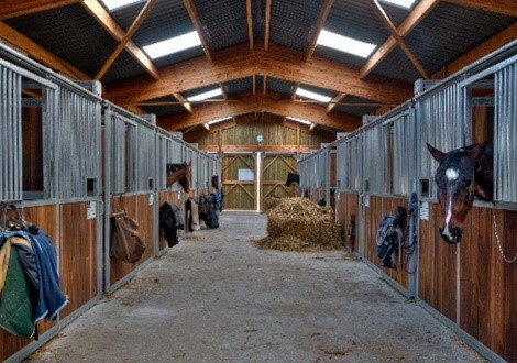 Paardenstal