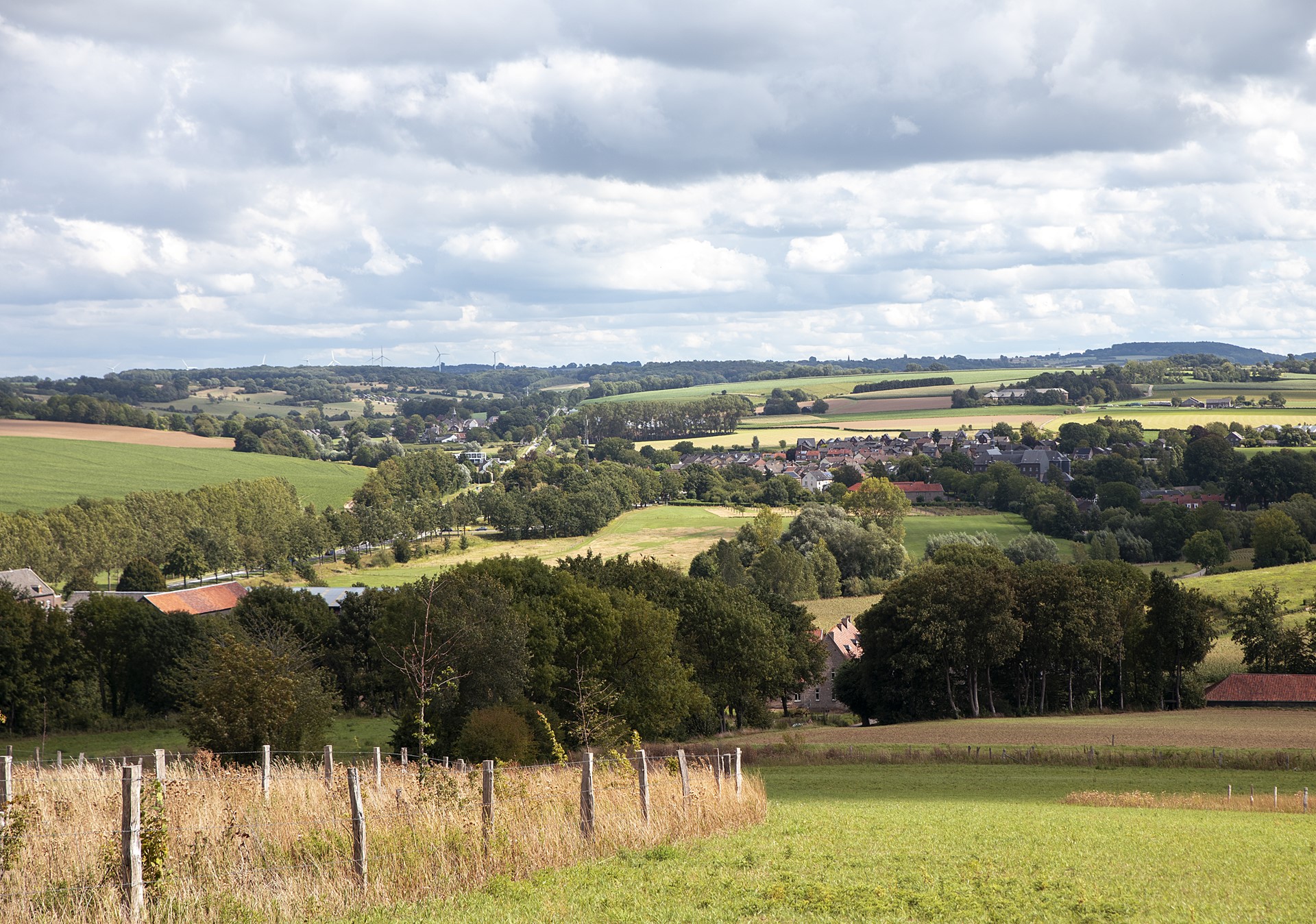 Zuid-Limburgs landschap 2