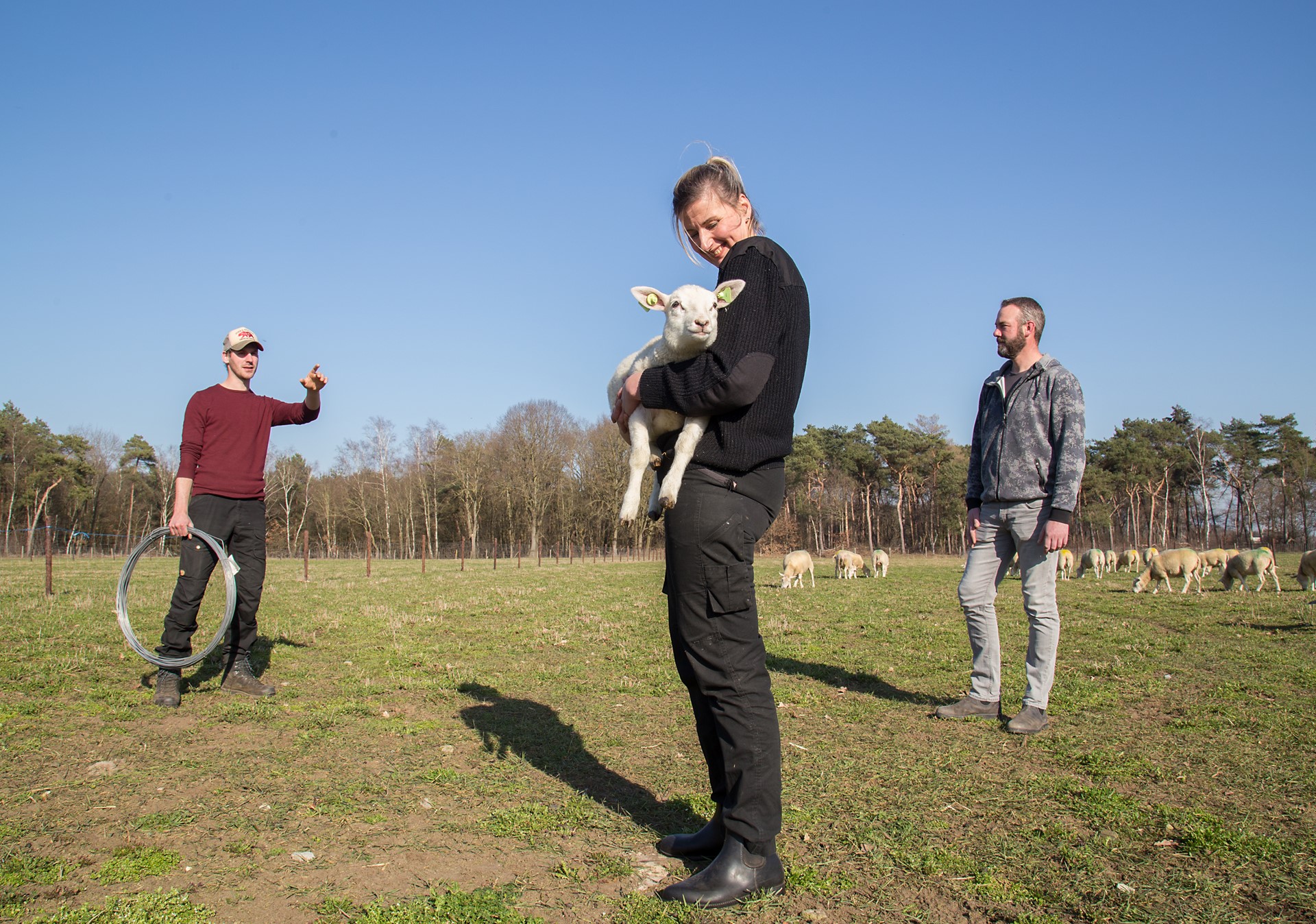 Maatregelen tegen de wolf