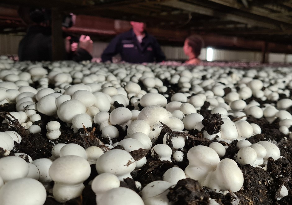 LimburgGezondTV Robbert 2