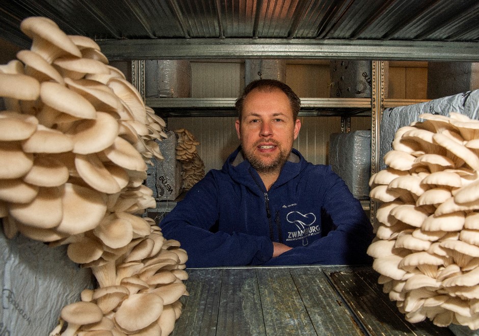 Zwamburg Rob Hermans