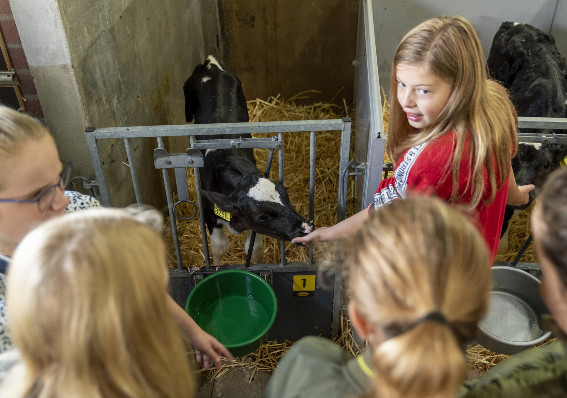 Boerderijeducatie 4