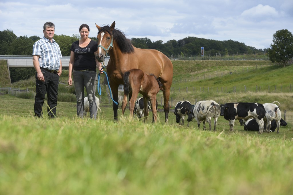 TW P. Habets-Kerkrade 002.JPG