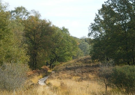 Nationaal Park De Meinweg