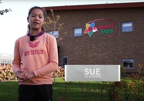 LimburgGezondTV Kwekerij Stals