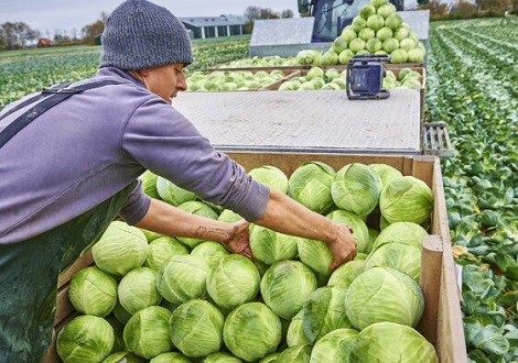 Werkgeverschap-Kool-Akkerbouw-560x400