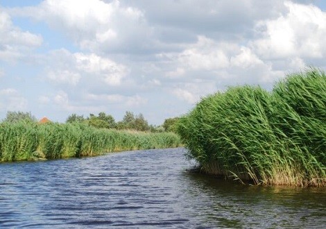 Water-en-Bodem-Water-Sloot-Waterkant-1-560x400