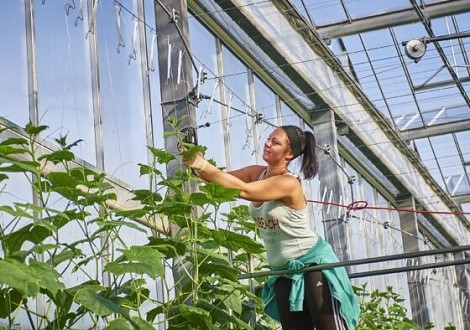 Glastuinbouw-Werknemer-Kas-Vrouw-1-560x400