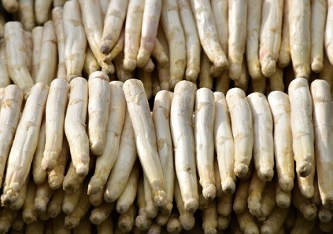 Asperges