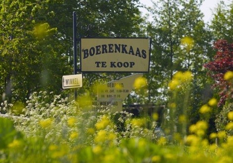 MFL-Kaas-Boerenkaas-Verkoop-560x400