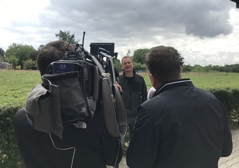 Paul Alberti - Koe uit de wei