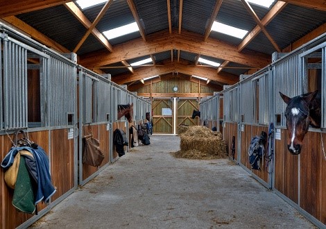 Foto bij artikel - toekomstige paardenhouderij