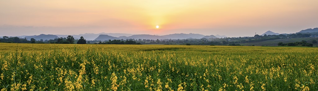 LLTB Header 1920x550px-landschap