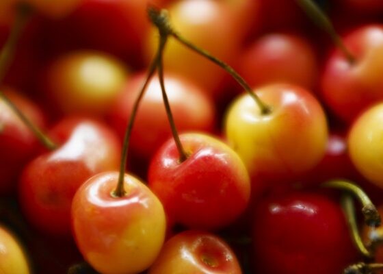 Fruitteelt-Kersen-Tros-Close-1-560x400