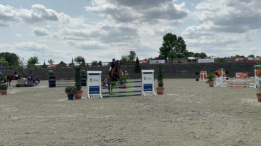 Limburgs kampioenschap outdoor springen en dressuur 3
