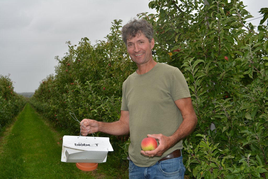 Fruitteler Peter Houtvast Cultura Fruit appelteler.JPG