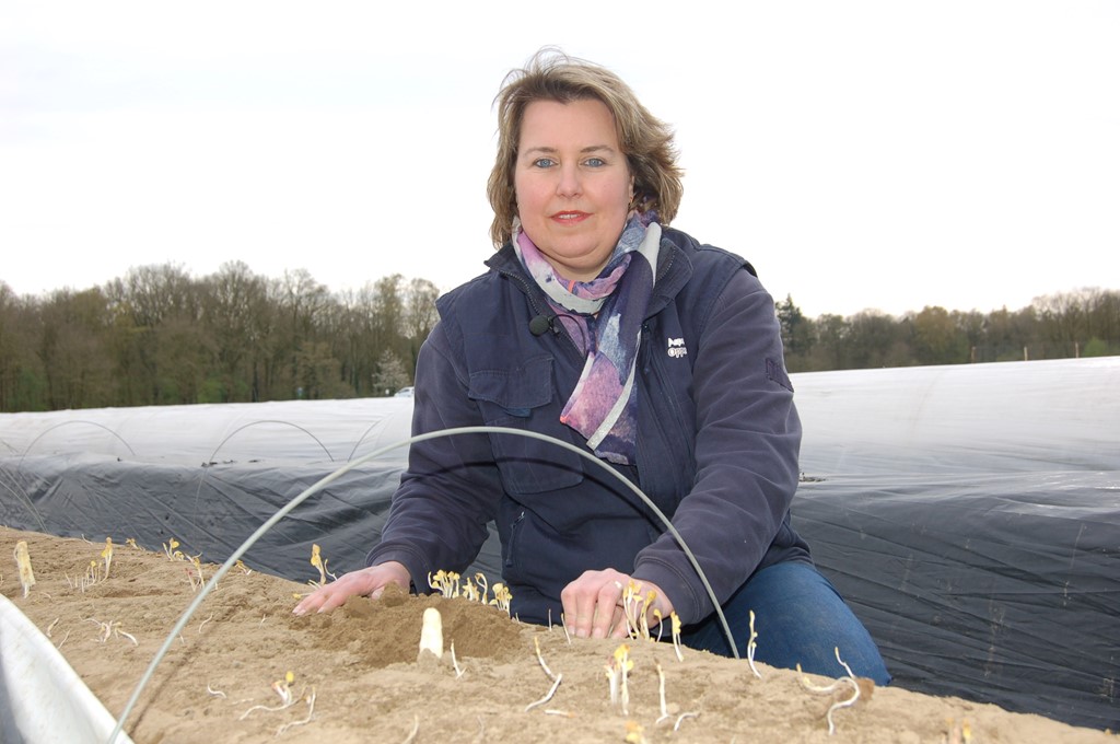 Aspergeboerderij Oppe Haes Roggel Elle Snijders asperges.JPG