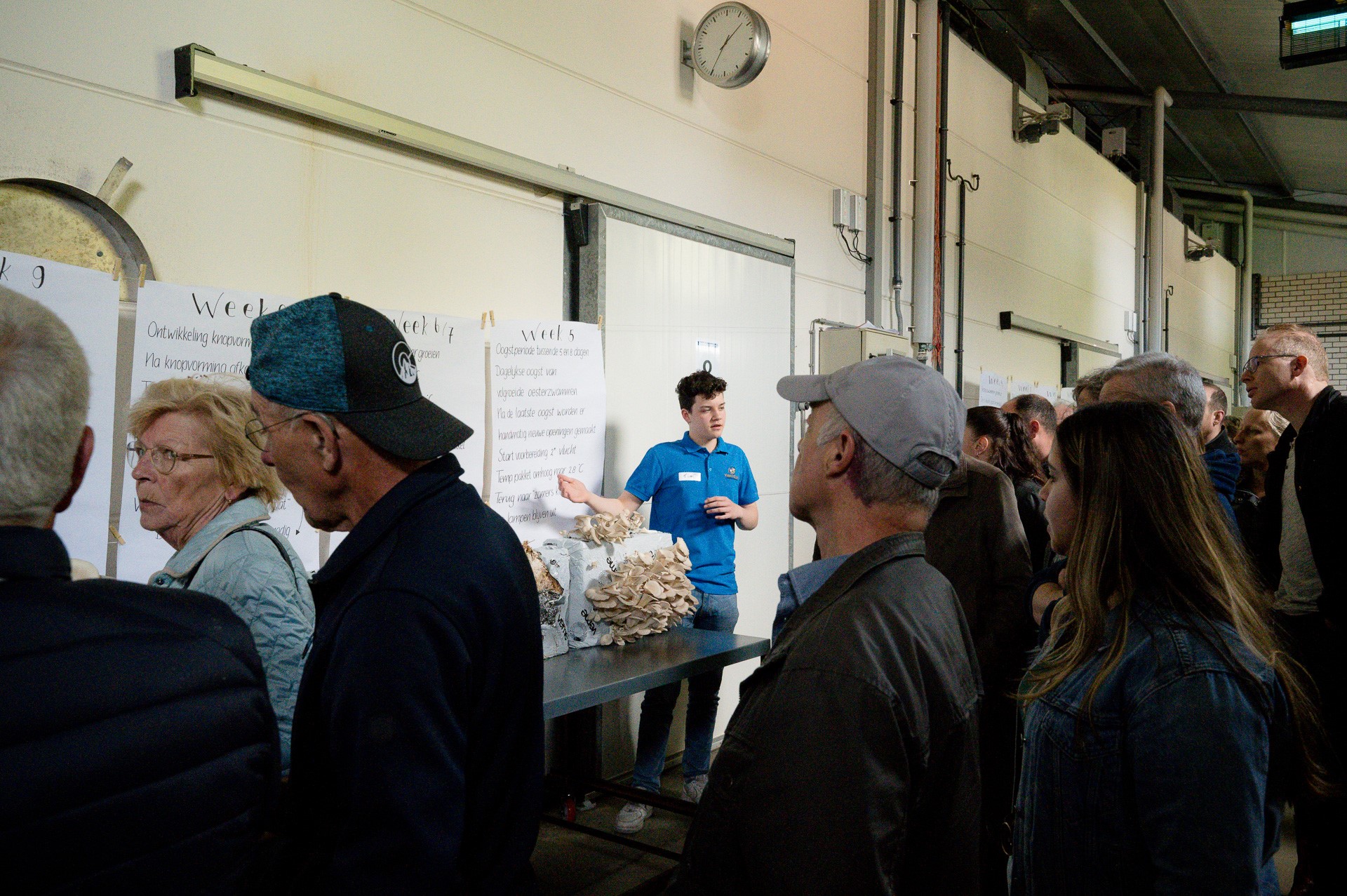 WEB JH-Loeren bij de Boeren-Verkooijen Oesterzwammen-Ospel-240428-2662