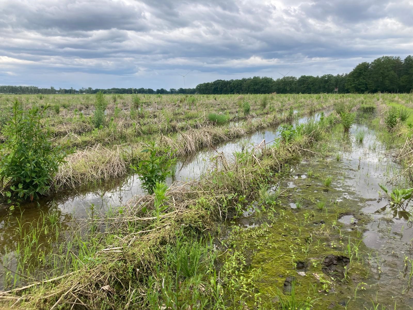 WhatsApp Image 2024-05-28 at 16.00.35