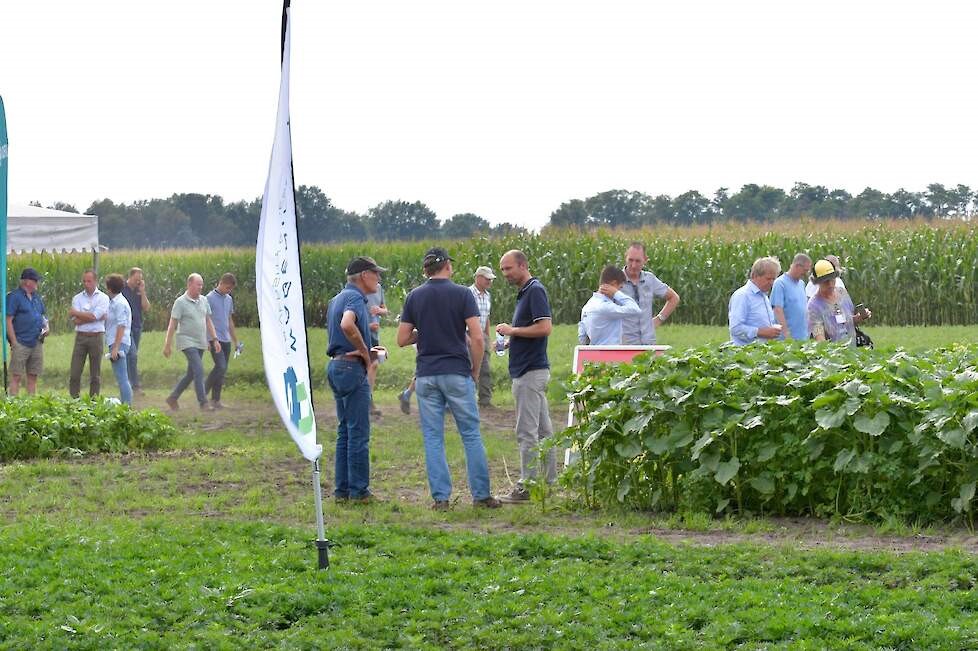 Groenbemesterdag