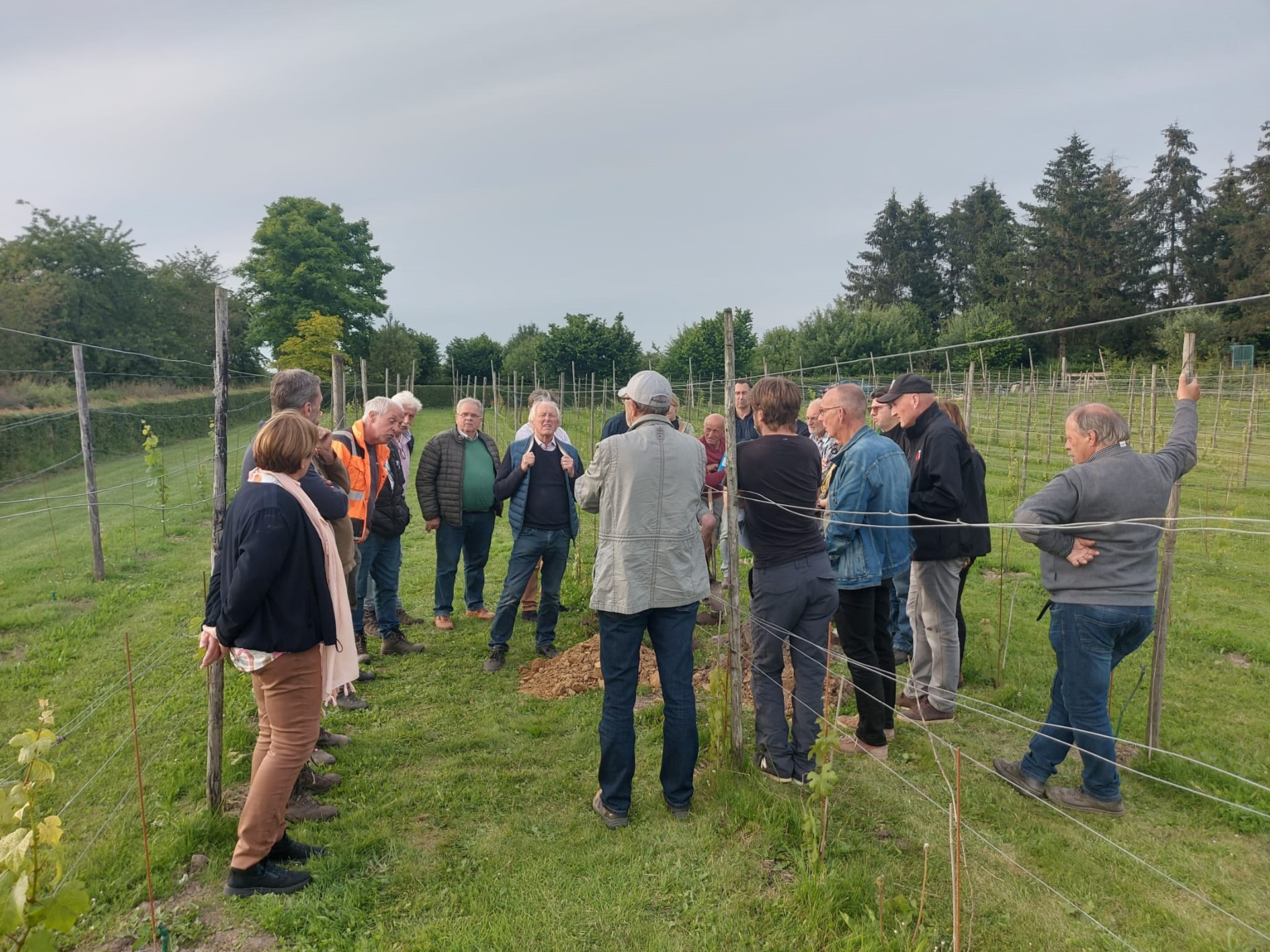 WhatsApp Image 2024-06-16 at 14.03.03