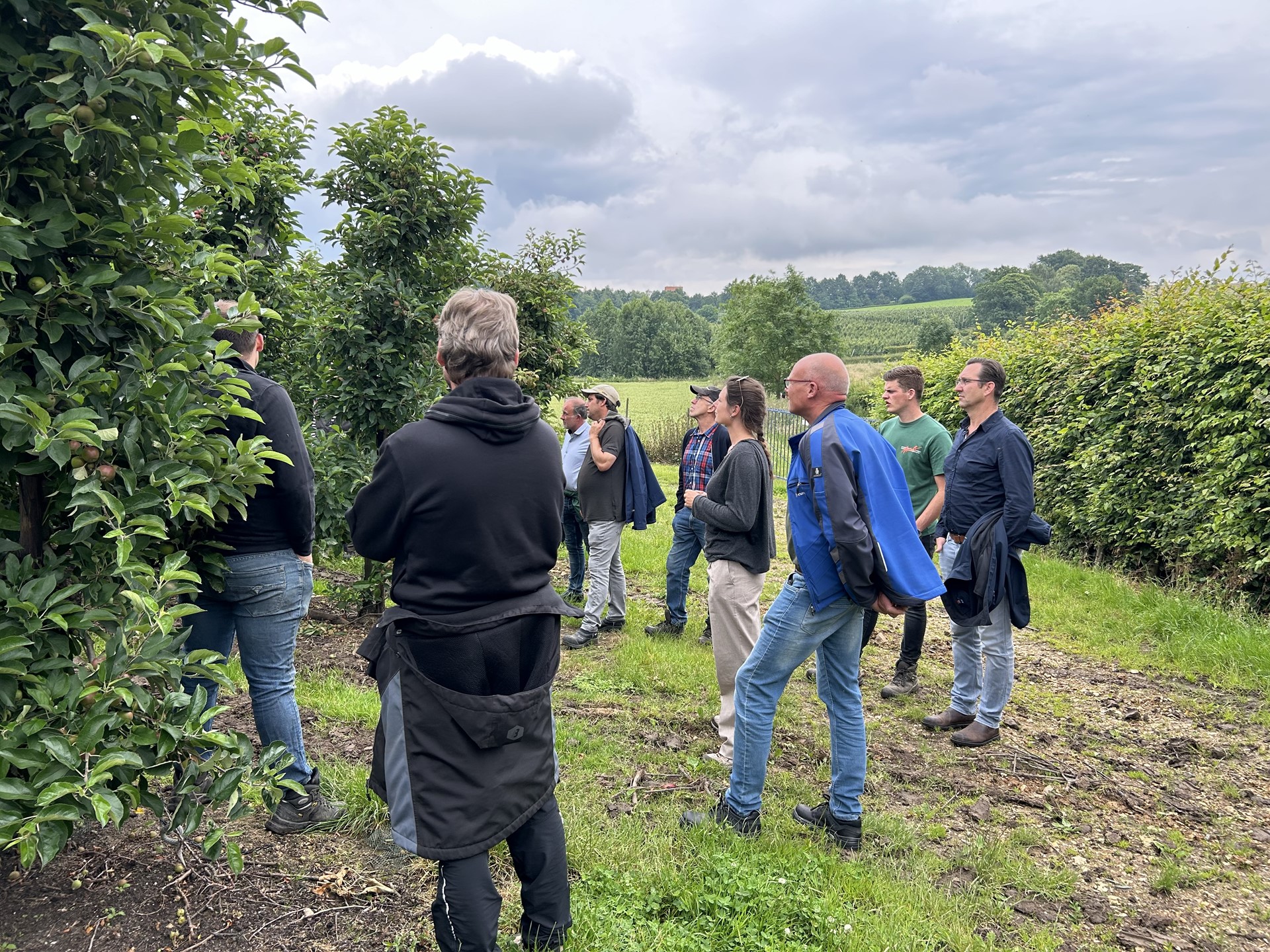 Bijeenkomst Hard Fruit juni 2024
