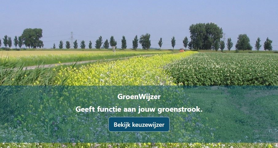 GroenWijzer.JPG