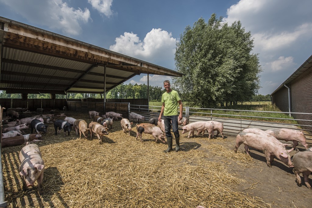 Familie Hoogeveen Livar
