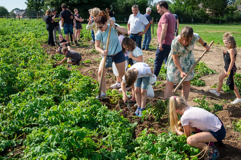 Aardappelrooidag Bert Merx Bocholtz 