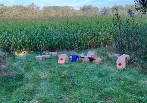 Dumping (drugs)afval