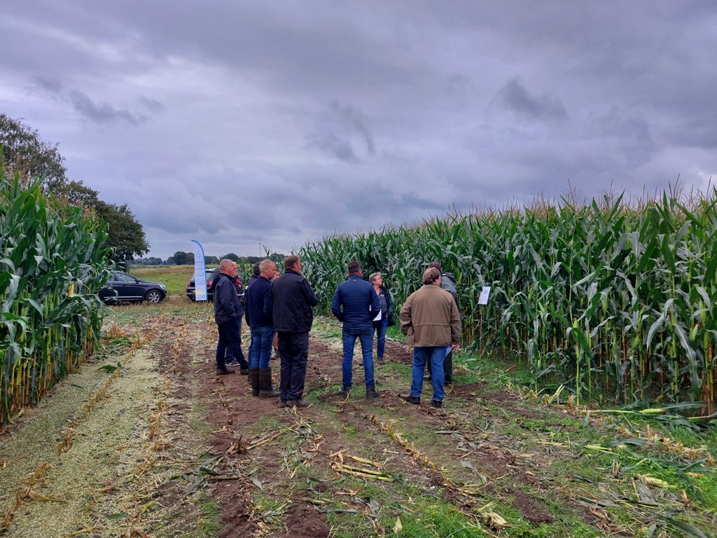 Grondig Boeren met Mais Afferden